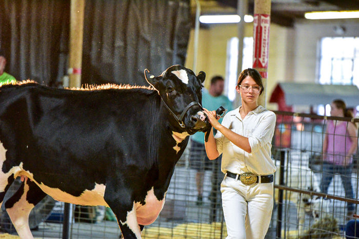 Orangeburg County Fair Dairy Show